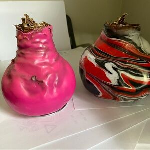 Waxed Amaryllis bulbs - post bloom